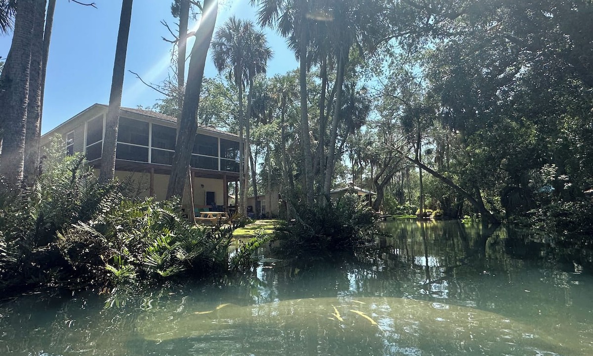 Weeki Wachee Gardens House | Hidden Spring Run Elevated Views 2 Kings 75" Smart TV kayaks Game Rm