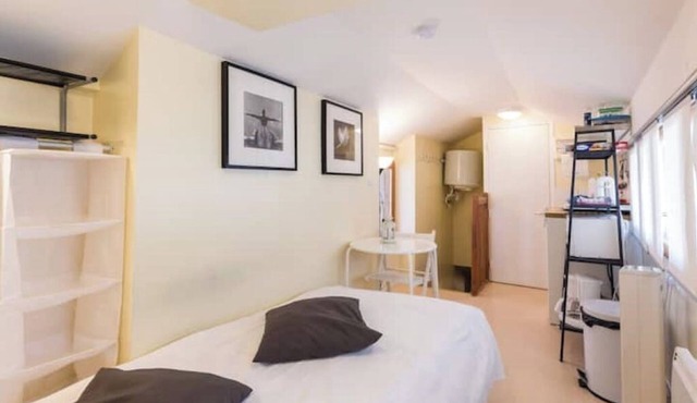 Charming studio under the roof in Grenoble city center in Grenoble