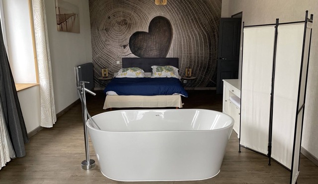 Magnificent villa with jacuzzi and sauna in Dompierre-les-Ormes