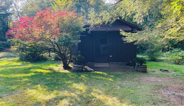 Serene rustic cabin in the Berkshires!