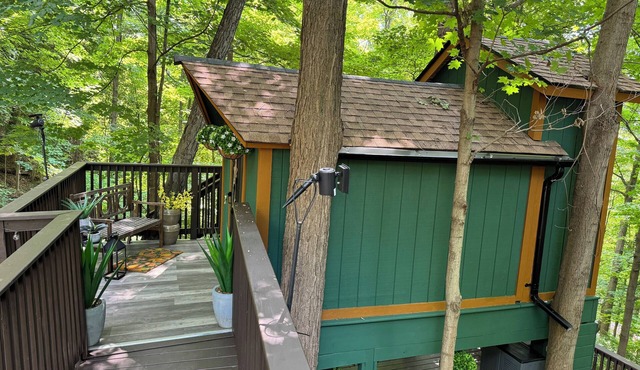 Treehouse Magic & Chic Greenhouse Vibes. Glamping In Style! Middle of Danbury,CT
