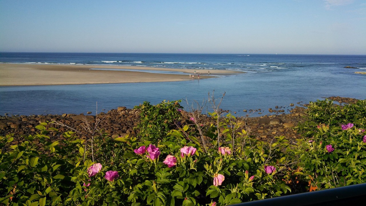 Photo of Others in Ogunquit
